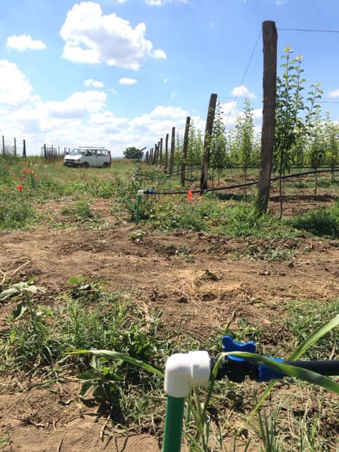 Zalivni sistem travnjak ili dvorište