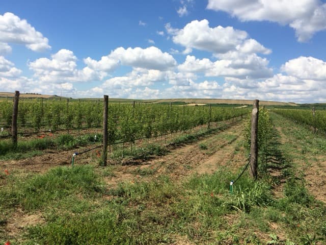 Realizovan projekat zalivanja