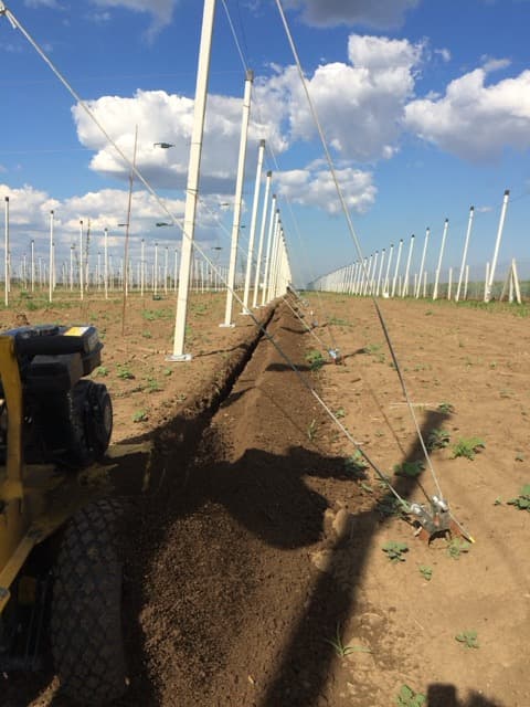 Ugradnja zalivnog sistema u dvorištu kuće Novi Sad