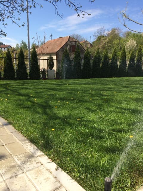 Automatski zalivni sistem travnjak Novi Sad posle ugradnje